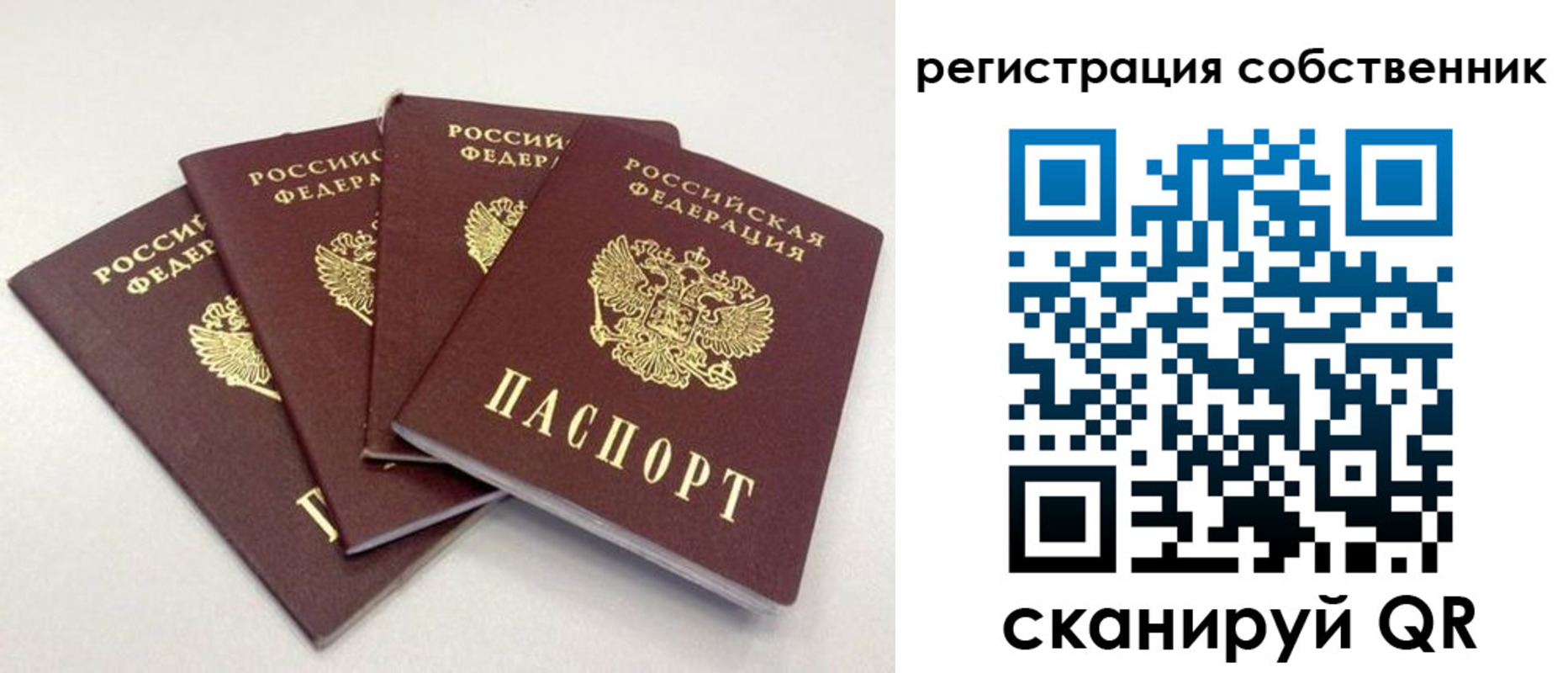 прописка для школы в Будённовске